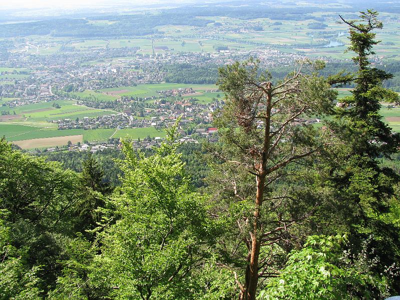 2009-05_Weissenstein 029.jpg